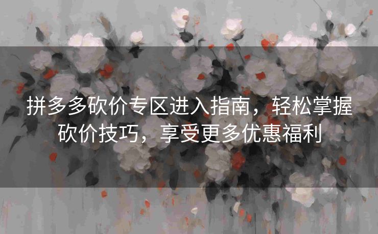拼多多砍价专区进入指南，轻松掌握砍价技巧，享受更多优惠福利