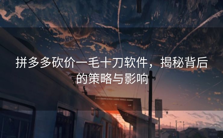 拼多多砍价一毛十刀软件，揭秘背后的策略与影响