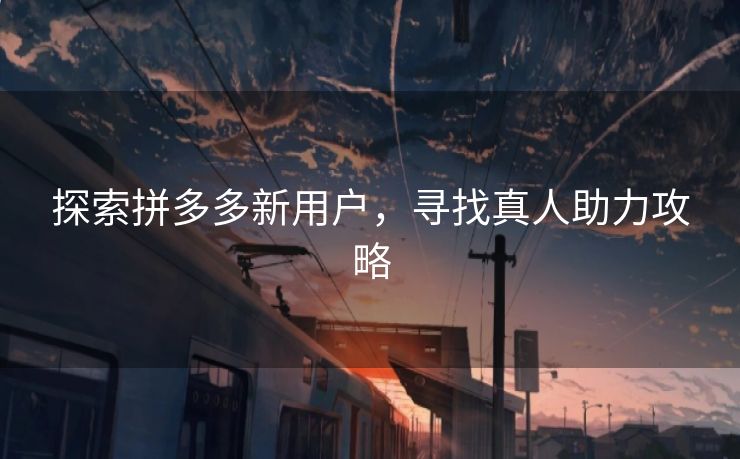 探索拼多多新用户，寻找真人助力攻略