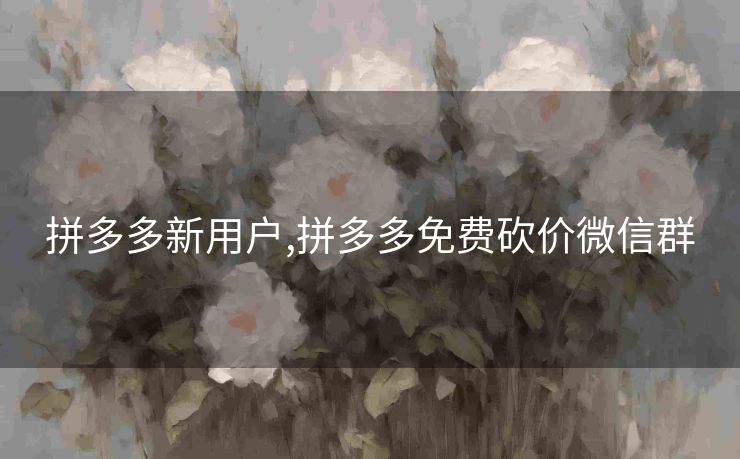 拼多多新用户,拼多多免费砍价微信群