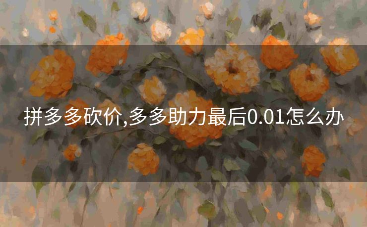 拼多多砍价,多多助力最后0.01怎么办