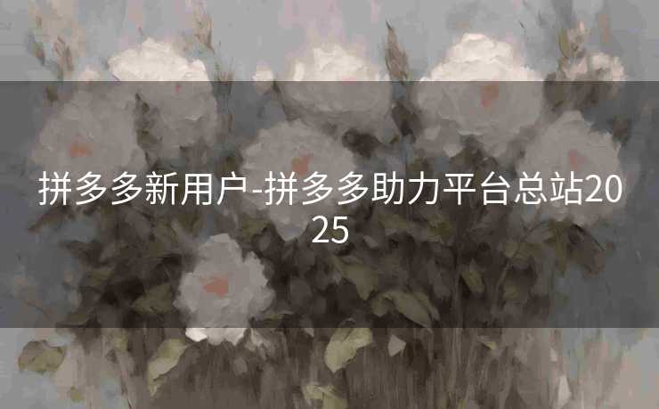 拼多多新用户-拼多多助力平台总站2025