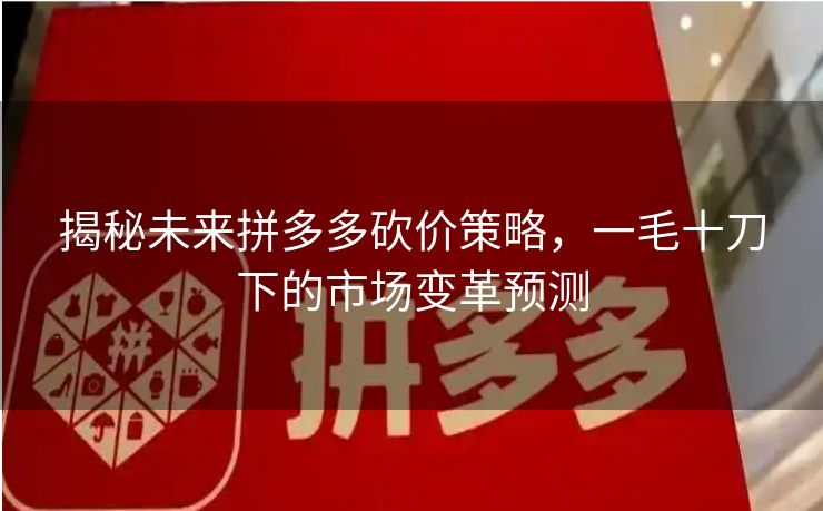 揭秘未来拼多多砍价策略，一毛十刀下的市场变革预测