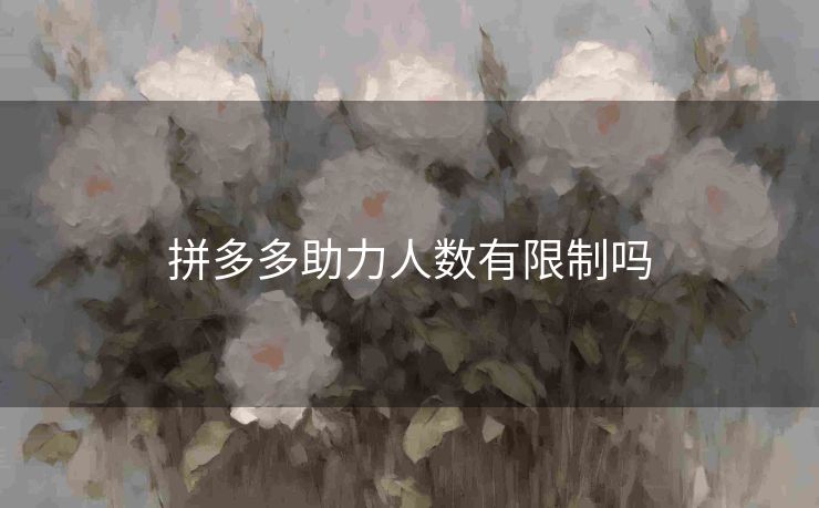 拼多多助力人数有限制吗
