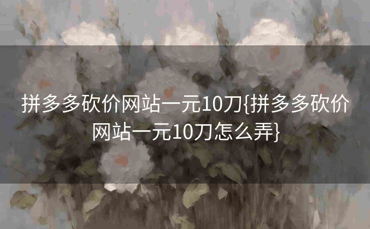 拼多多砍价网站一元10刀{拼多多砍价网站一元10刀怎么弄}