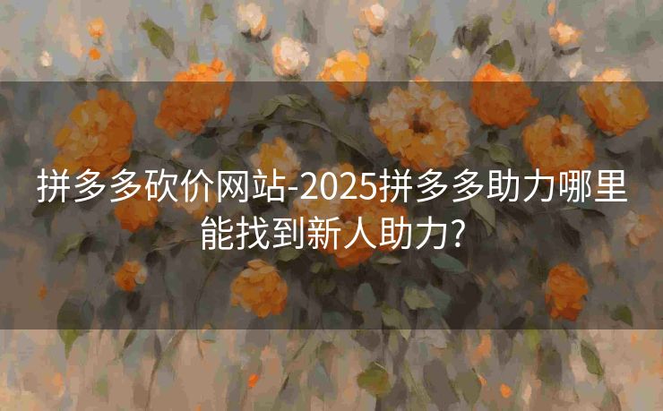 拼多多砍价网站-2025拼多多助力哪里能找到新人助力?