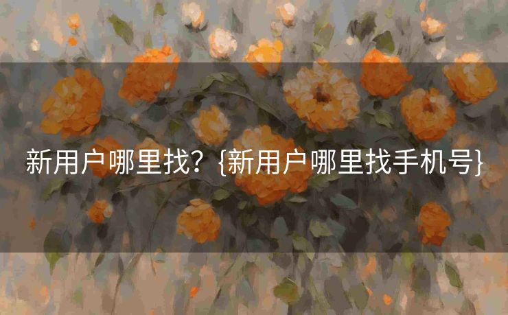 新用户哪里找？{新用户哪里找手机号}