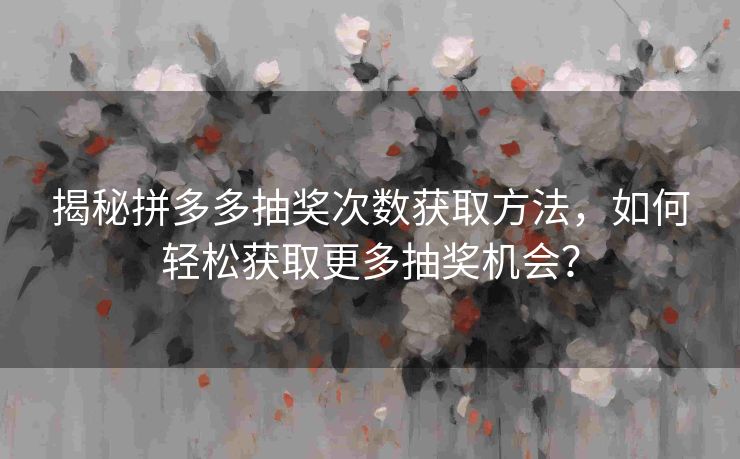揭秘拼多多抽奖次数获取方法，如何轻松获取更多抽奖机会？