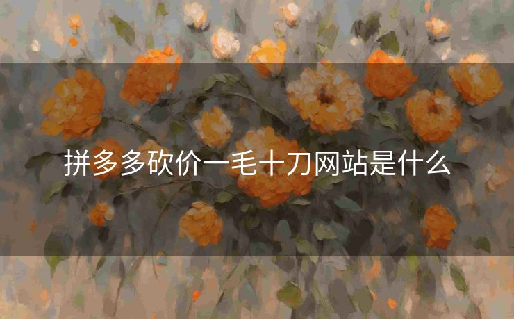 拼多多砍价一毛十刀网站是什么