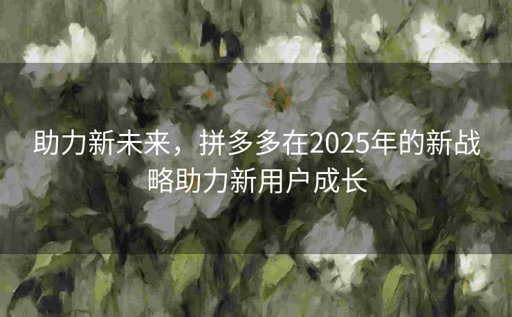 助力新未来，拼多多在2025年的新战略助力新用户成长