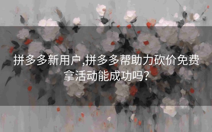 拼多多新用户,拼多多帮助力砍价免费拿活动能成功吗？