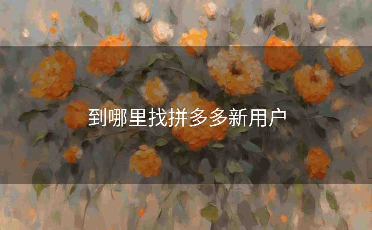 到哪里找拼多多新用户