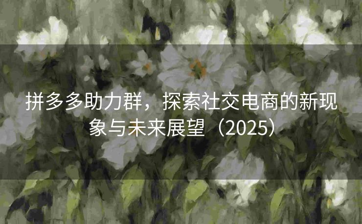 拼多多助力群，探索社交电商的新现象与未来展望（2025）