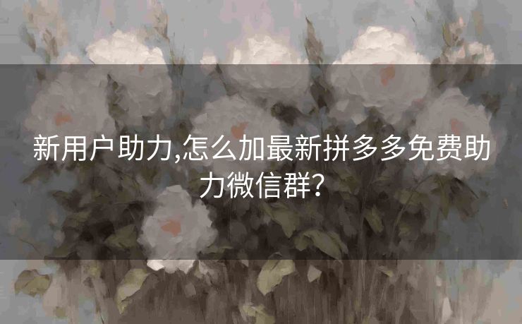 新用户助力,怎么加最新拼多多免费助力微信群？