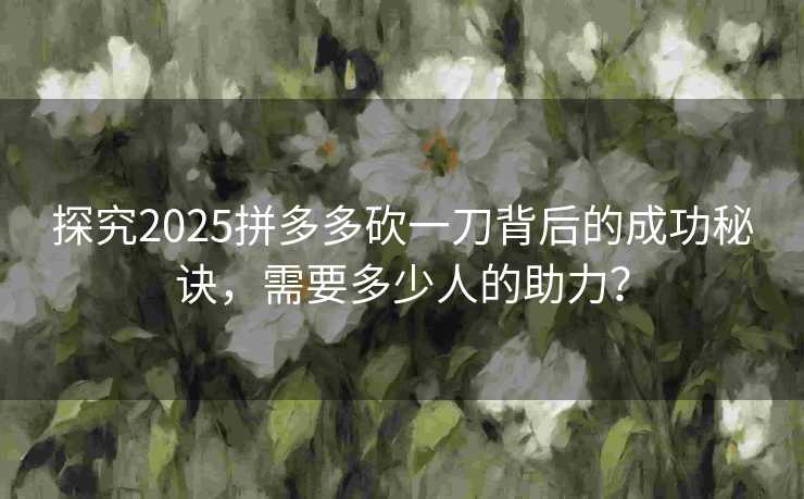 探究2025拼多多砍一刀背后的成功秘诀，需要多少人的助力？