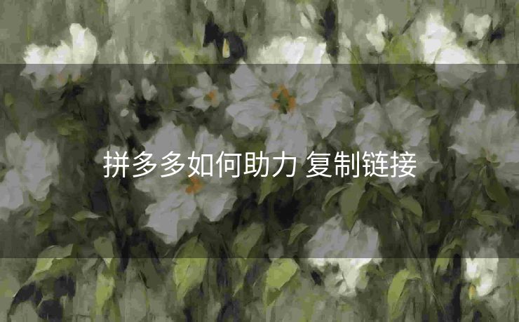 拼多多如何助力 复制链接