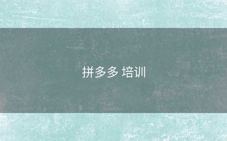 拼多多 培训