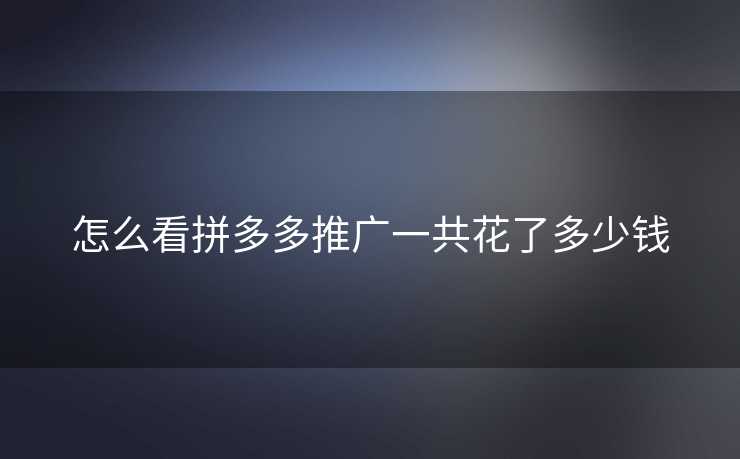 怎么看拼多多推广一共花了多少钱
