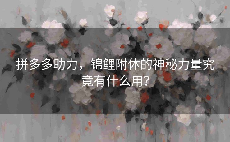 拼多多助力，锦鲤附体的神秘力量究竟有什么用？