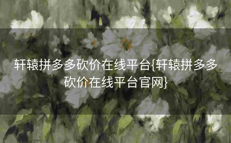 轩辕拼多多砍价在线平台{轩辕拼多多砍价在线平台官网}