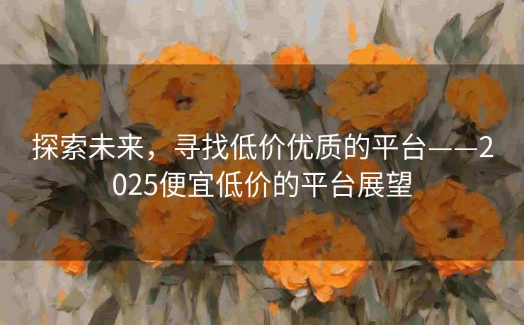 探索未来，寻找低价优质的平台——2025便宜低价的平台展望
