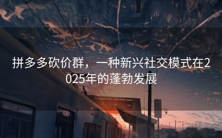 拼多多砍价群，一种新兴社交模式在2025年的蓬勃发展