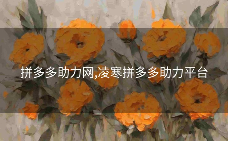 拼多多助力网,凌寒拼多多助力平台