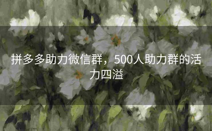 拼多多助力微信群，500人助力群的活力四溢