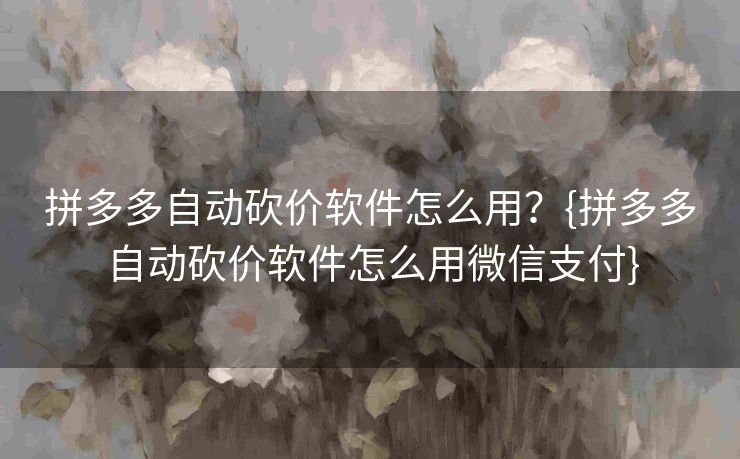 拼多多自动砍价软件怎么用？{拼多多自动砍价软件怎么用微信支付}