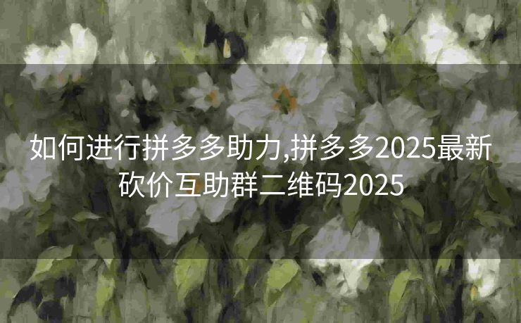 如何进行拼多多助力,拼多多2025最新砍价互助群二维码2025