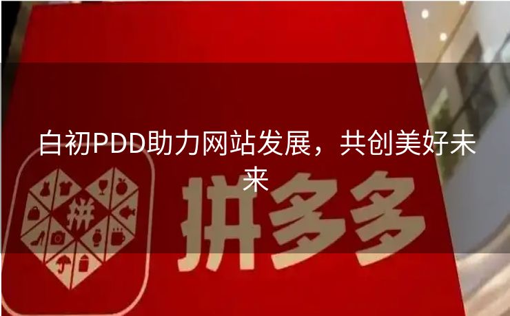 白初PDD助力网站发展，共创美好未来