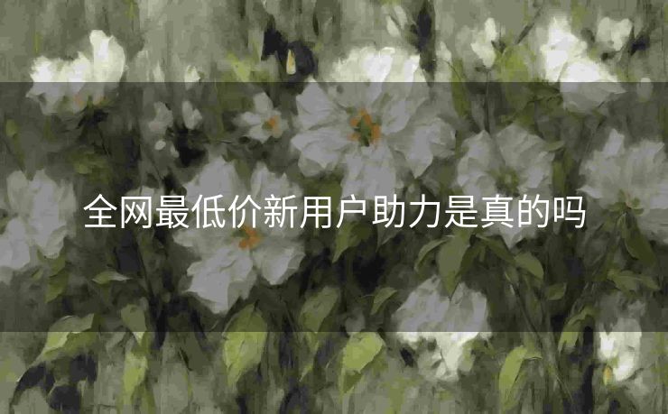 全网最低价新用户助力是真的吗