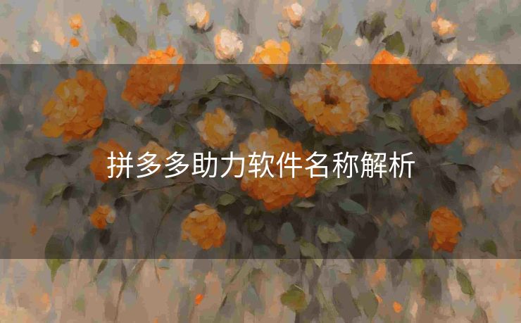 拼多多助力软件名称解析