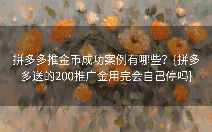 拼多多推金币成功案例有哪些？{拼多多送的200推广金用完会自己停吗}