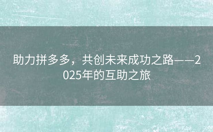 助力拼多多，共创未来成功之路——2025年的互助之旅