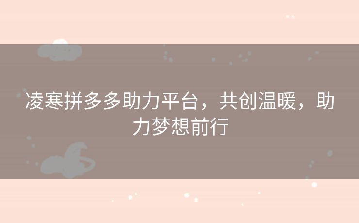 凌寒拼多多助力平台，共创温暖，助力梦想前行