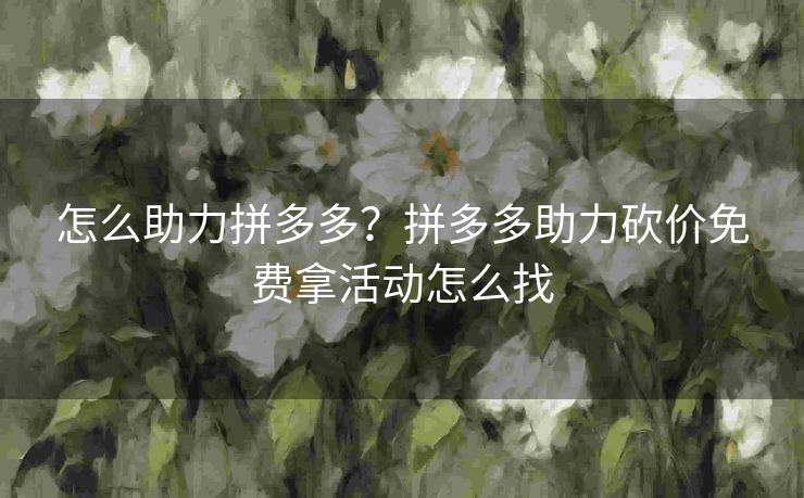 怎么助力拼多多？拼多多助力砍价免费拿活动怎么找
