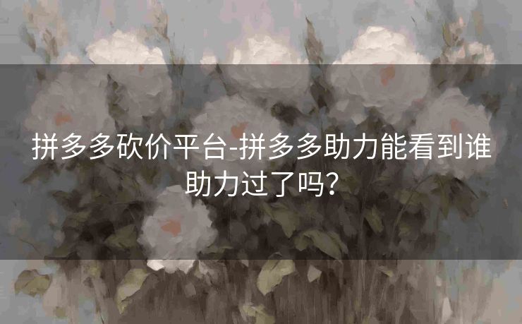 拼多多砍价平台-拼多多助力能看到谁助力过了吗？