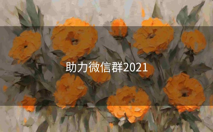 助力微信群2021