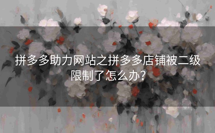 拼多多助力网站之拼多多店铺被二级限制了怎么办？