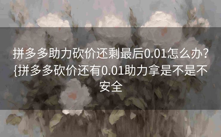 拼多多助力砍价还剩最后0.01怎么办？{拼多多砍价还有0.01助力拿是不是不安全