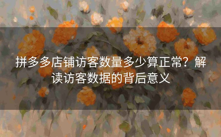 拼多多店铺访客数量多少算正常？解读访客数据的背后意义