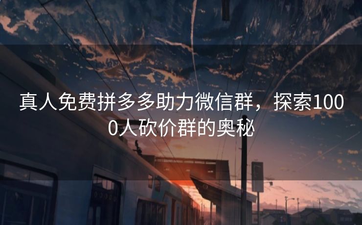 真人免费拼多多助力微信群，探索1000人砍价群的奥秘