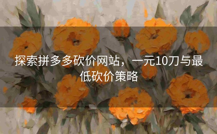 探索拼多多砍价网站，一元10刀与最低砍价策略