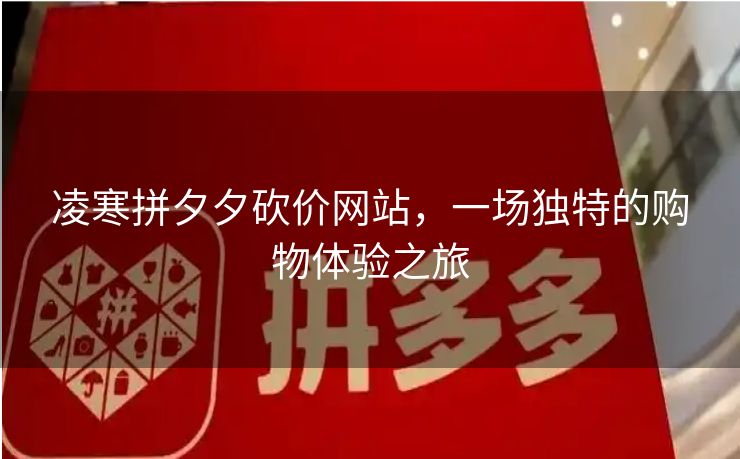 凌寒拼夕夕砍价网站，一场独特的购物体验之旅