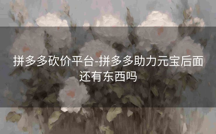 拼多多砍价平台-拼多多助力元宝后面还有东西吗