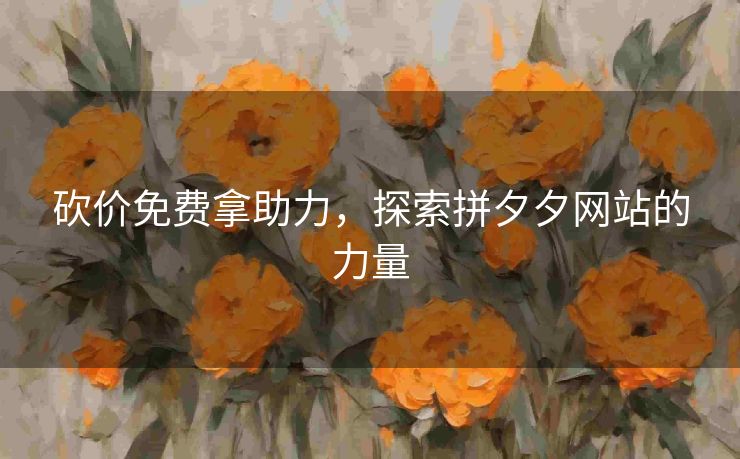 砍价免费拿助力，探索拼夕夕网站的力量