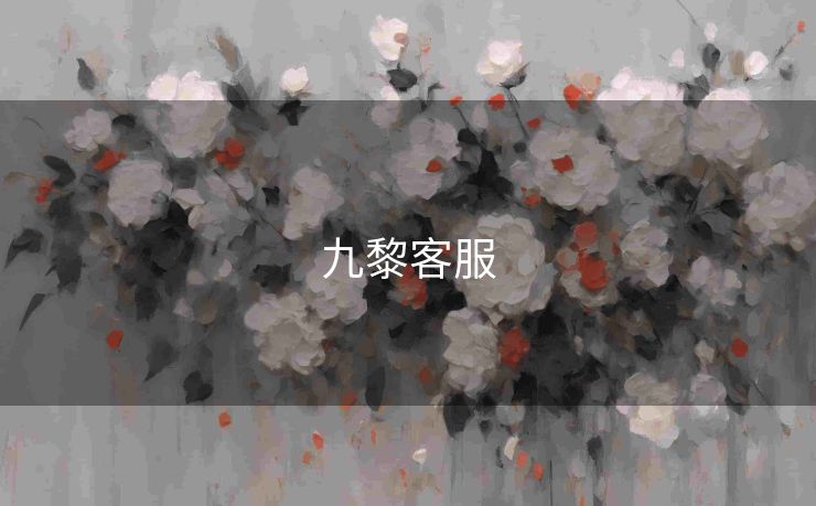 九黎客服