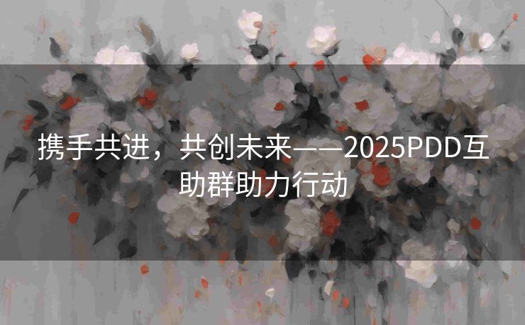 携手共进，共创未来——2025PDD互助群助力行动