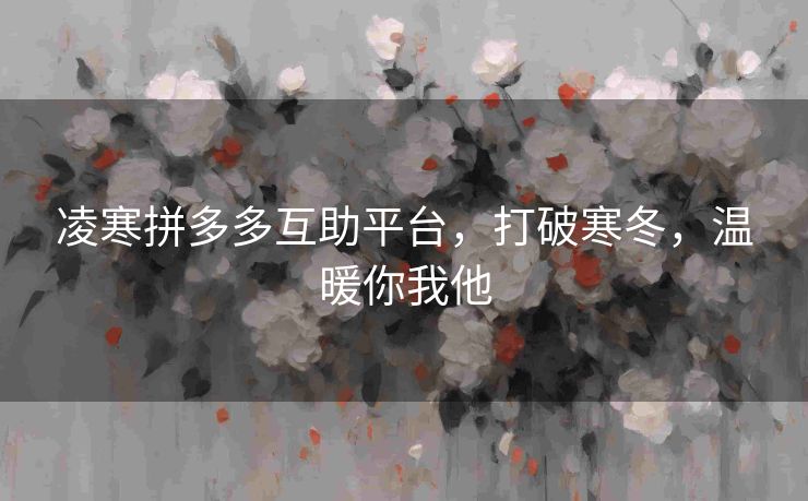 凌寒拼多多互助平台，打破寒冬，温暖你我他